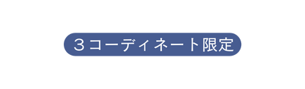 ３コーディネート限定